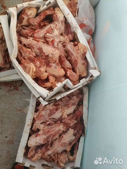 Каркас, спинка, грудные кости куриные