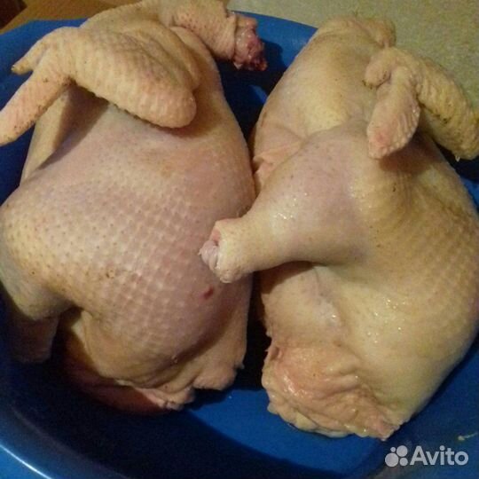 Мясо домашней птицы