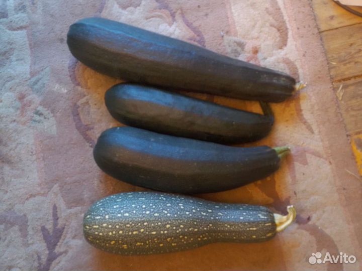 Продам кабачки и чеснок