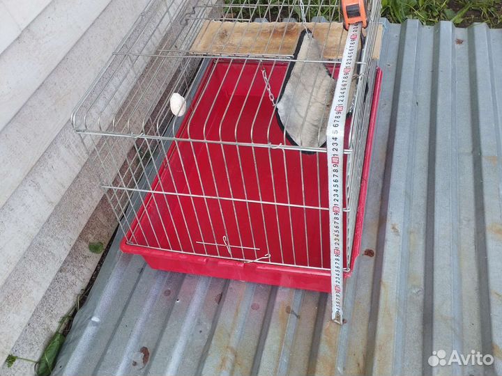 Клетка большая