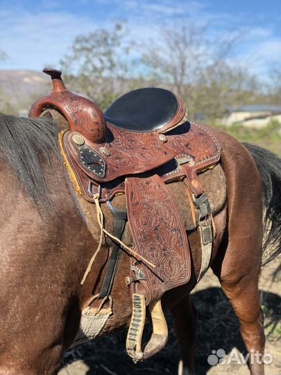 Седло для лошади