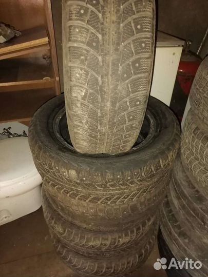 Gislaved Nord Frost 5 195/65 R15