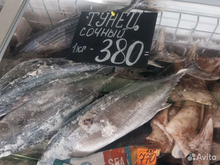 Лангустины креветки,мидии