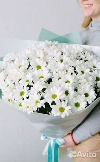 Хризантема Букет хризантем Доставка