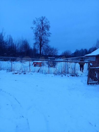 Дом 56 м² на участке 16 сот.