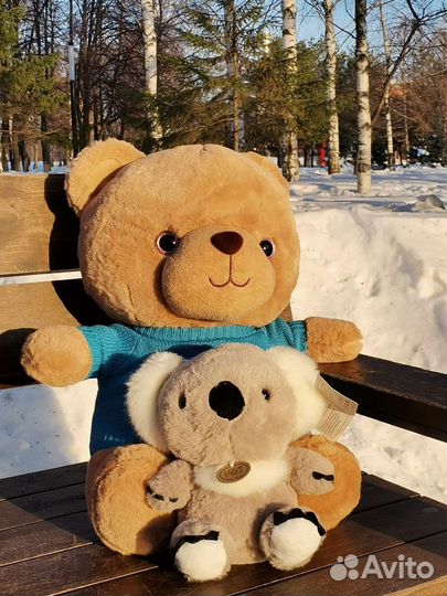 Плюшевый мишка