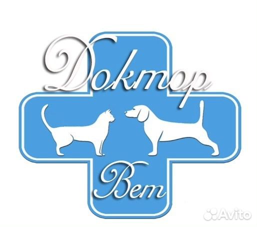 доктор вет ветеринар лого. алатырская районная станция по борьбе с болезнями животных. никиты сверчкова 8 чебоксары. ветеринарка в ядрине чувашия. ветврач алатырь.