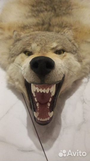 Волк сибирский (ковер )