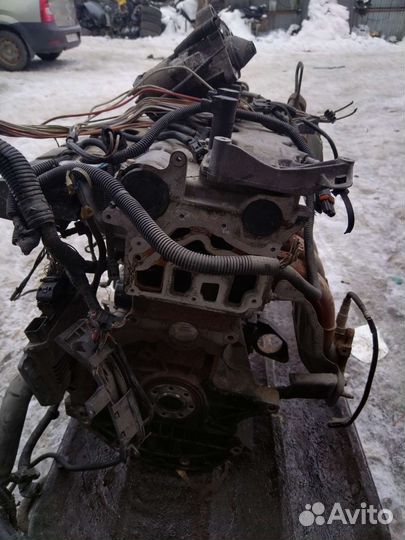 Двигатель Renault Megane2 Scenik2 F4R 711 Акпп2.0