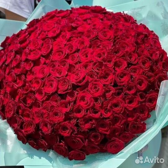 101 роза 51 роза 25 21 Букет Доставка