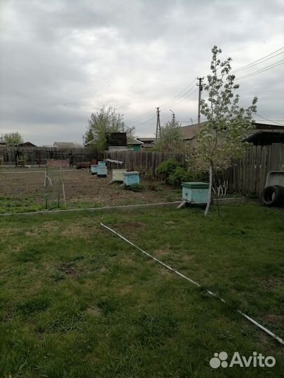 Пчелы и улья