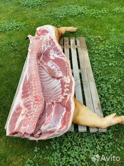 Полутуша свинины фермерское мясо