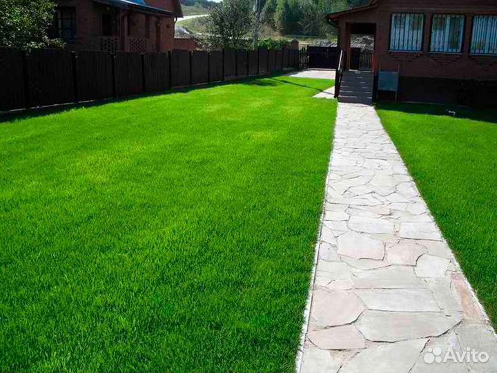 Рулонный газон /продажа/укладка