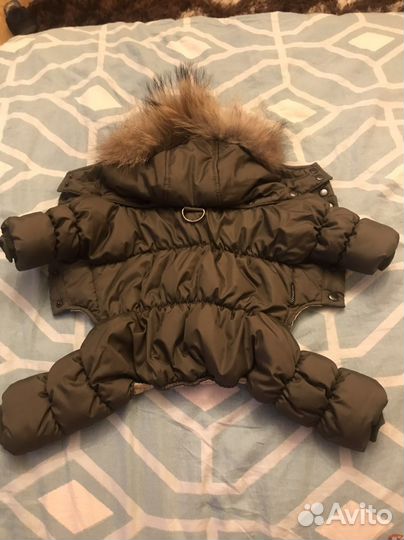 Зимний комбинезон для маленькой собачки