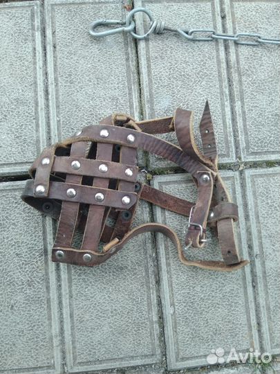 Ошейник,намордник,поводок собаке