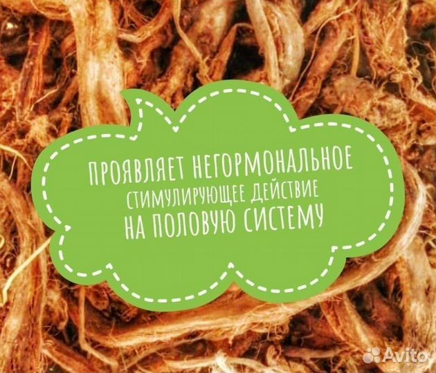 Красный корень копеечник