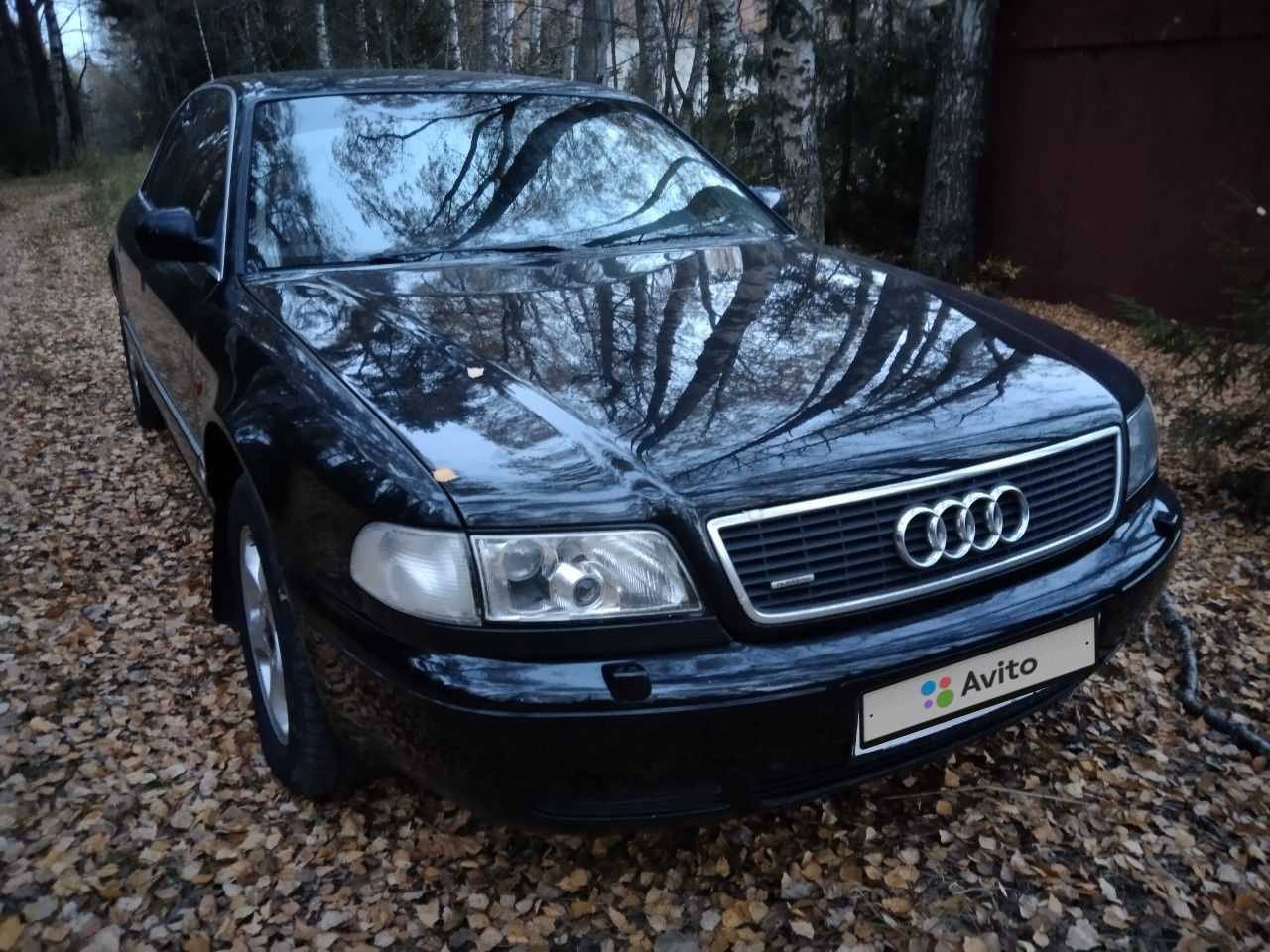 Audi A8: фото владельца