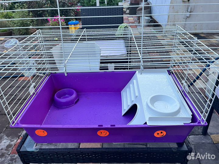 Клетка для морской свинки