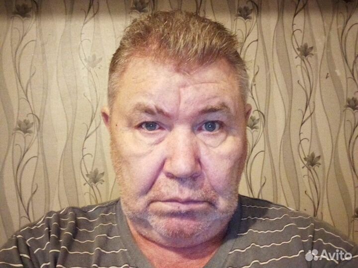 Водитель автомобиля