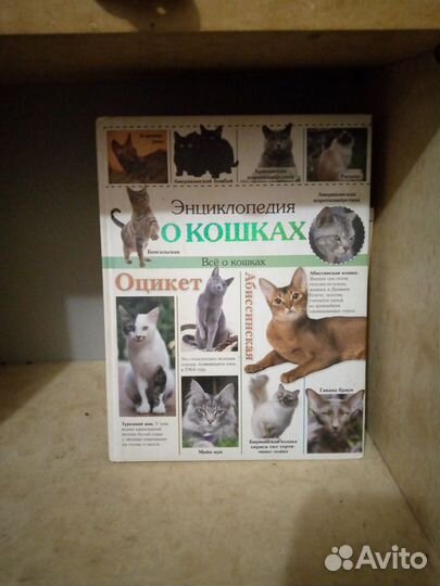 Энциклопедия о кошках
