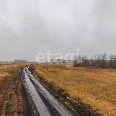 Участок 5,1 сот. (личное подсобное хозяйство (лпх))