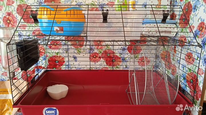 Клетка с аксессуарами для крыс