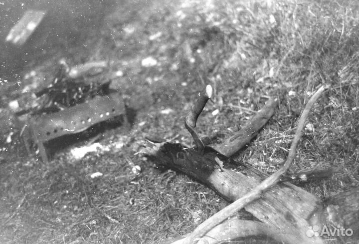 Фотопленка 35мм