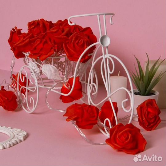 Светодиодная гирлянда LN 