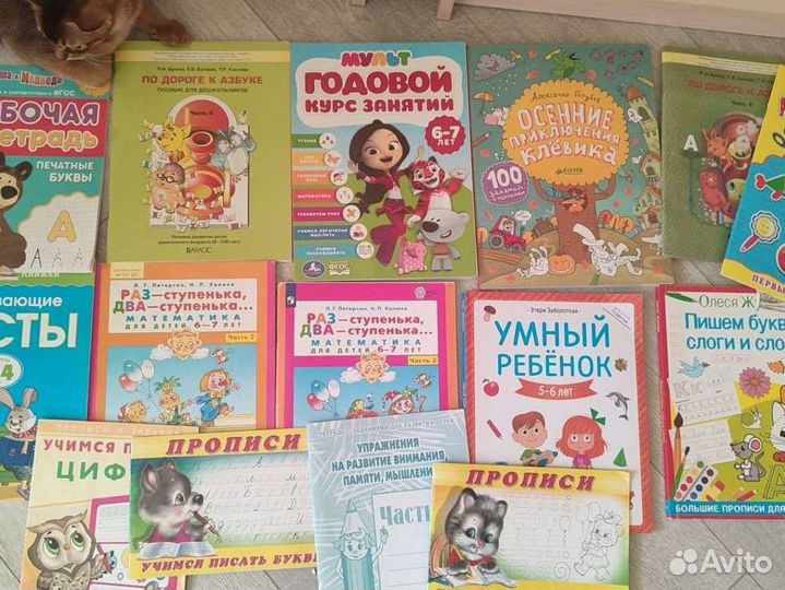 Книжки, тесты, развивашки, прописи