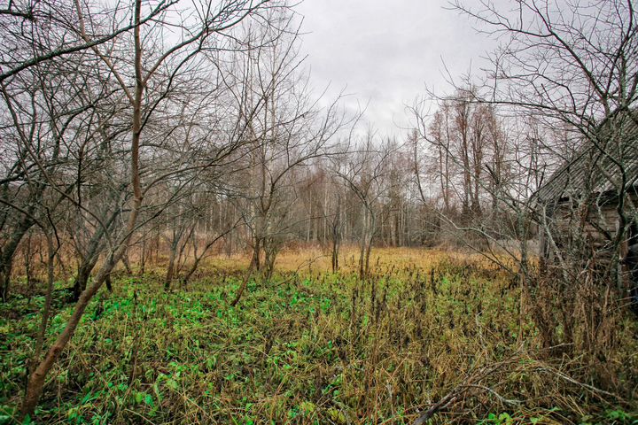 Дом 74,3 м² на участке 17,8 сот.