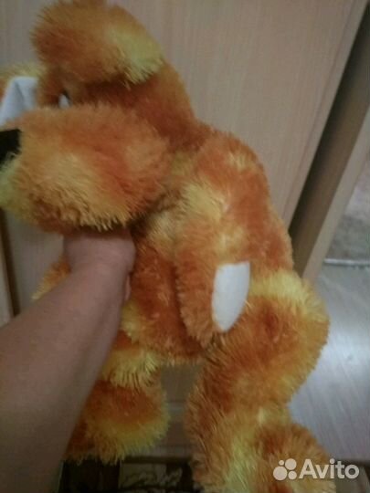 Классный пушистый рюкзаг - собака