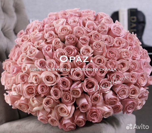 Розы цветы букет 101 розовая роза
