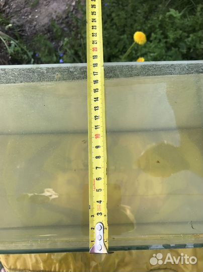 Аквариум на 20 литров