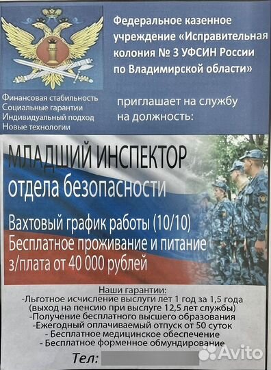 Младший инспектор отдела безопасности