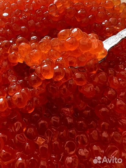 Красная икра с камчатки