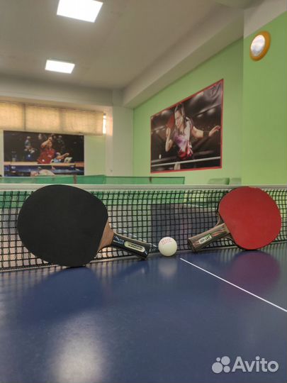 Настольный теннис на Калинина