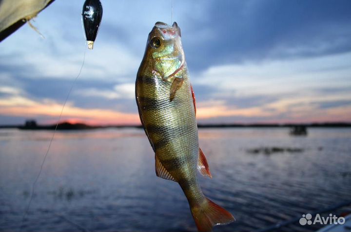 Рыболовные снасти