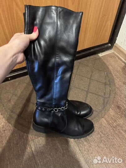 Сапоги женские