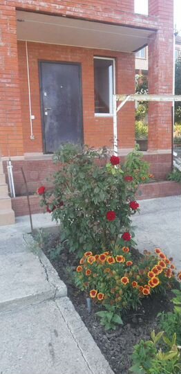 Дом 140 м² на участке 6 сот.