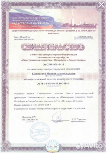Изготовление Технического плана на Дом.Амнистия