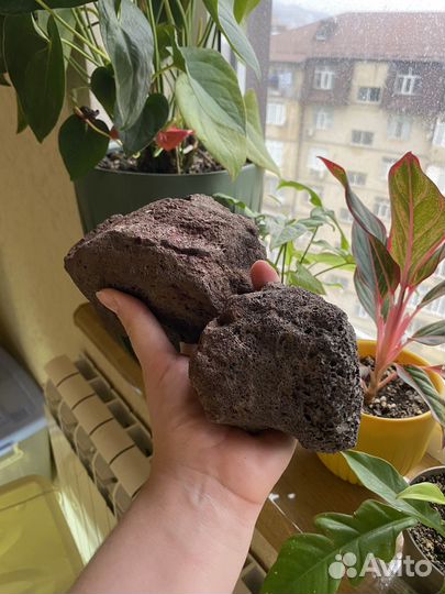 Для аквариума и террариума