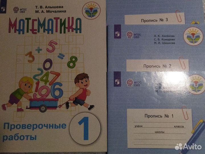 Рабочие тетради, прописи, проверочные овз 1 2 3 кл