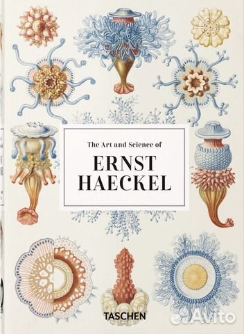 Ernst Haeckel / альбом Taschen о мире природы