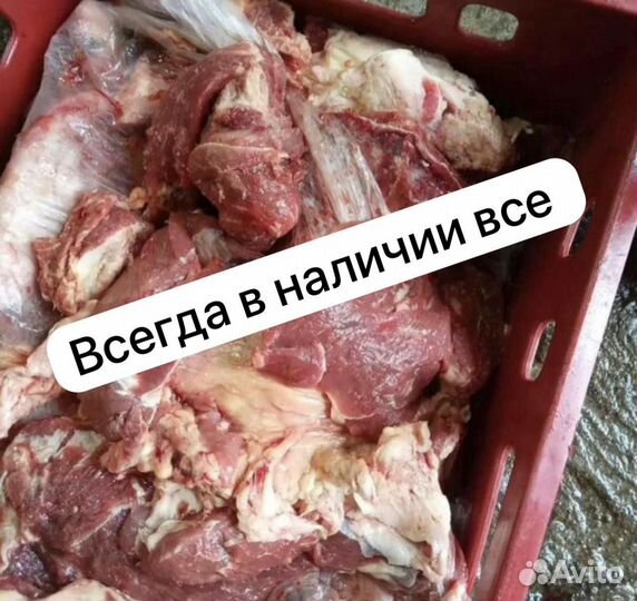 Мясо говядина для собак
