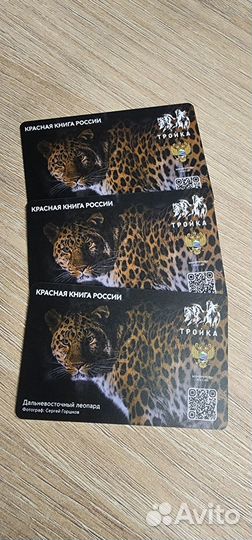Коллекционная карта тройка Красная книга Леопард