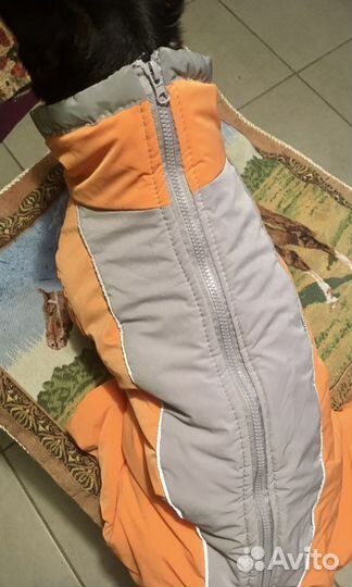 Комбинезон для маленькой собачки