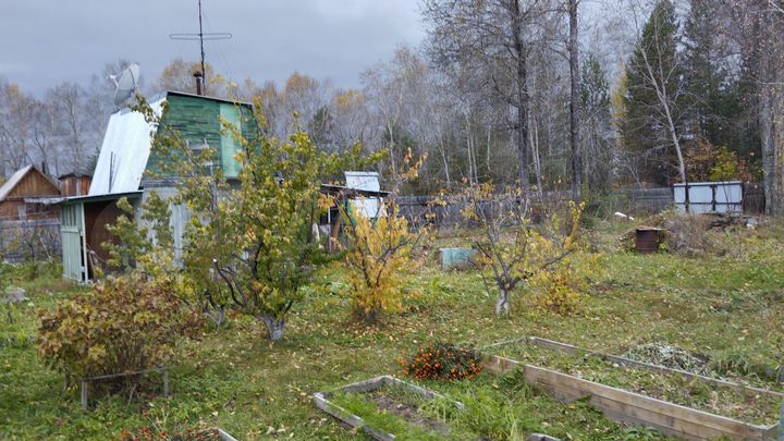 Дача 35 м² на участке 11,7 сот.