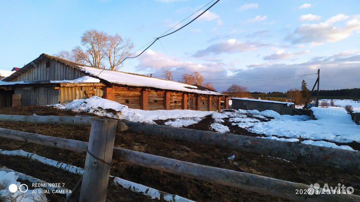 Животноводческая ферма продаю