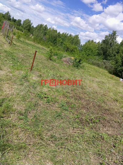 Участок 12 сот. (СНТ, ДНП)