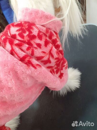 Комбинезон для собак